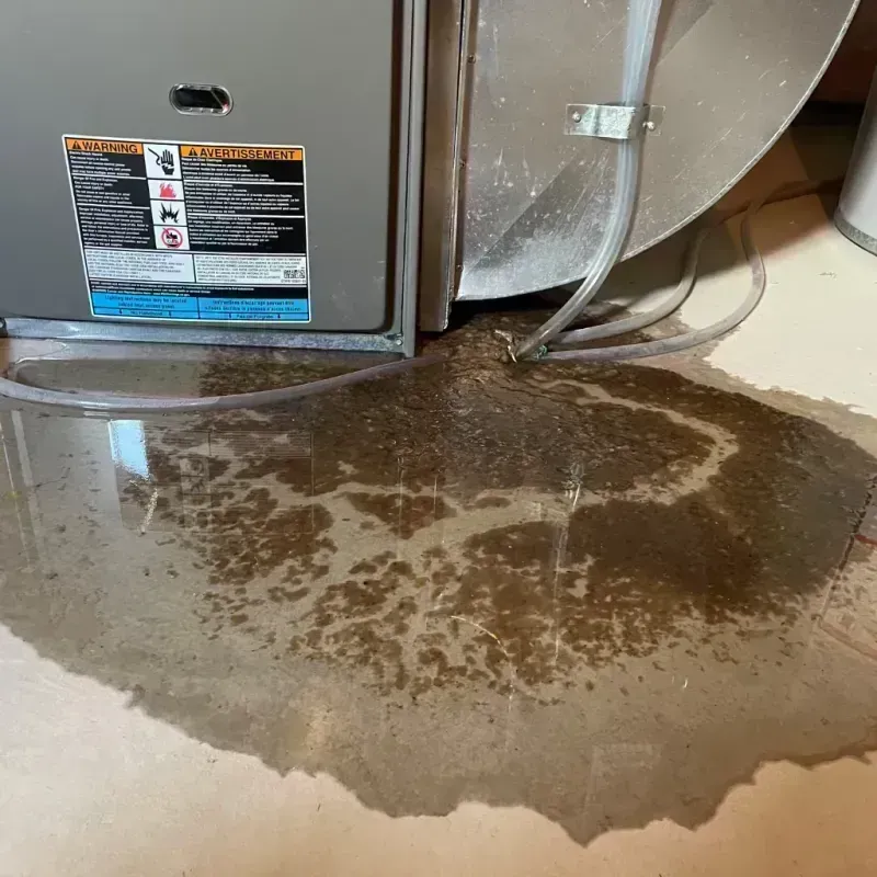 Appliance Leak Cleanup in Jonesboro, IL